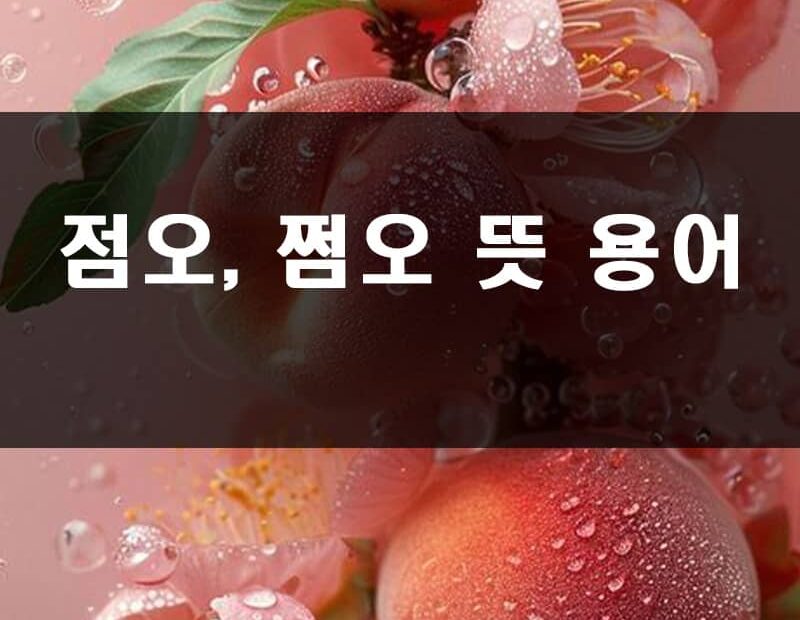 점오 쩜오 뜻 용어 는?