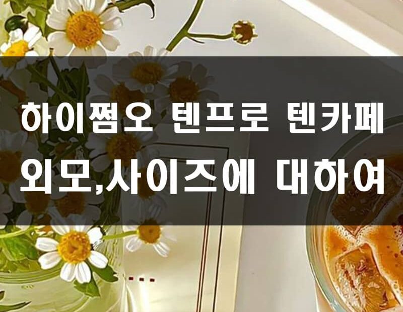 하이쩜오 텐프로 텐카페 외모