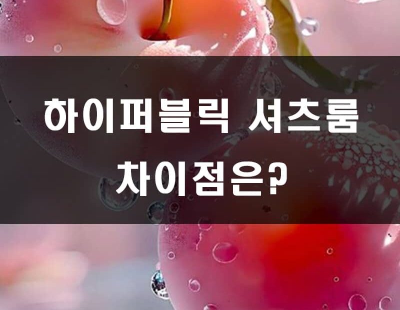 하이퍼블릭 셔츠룸 차이