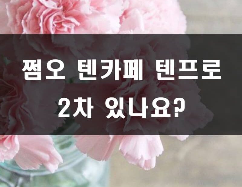 쩜오 텐카페 텐프로 2차 있나요?