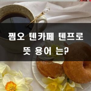 쩜오 텐카페 텐프로 뜻 용어 는?