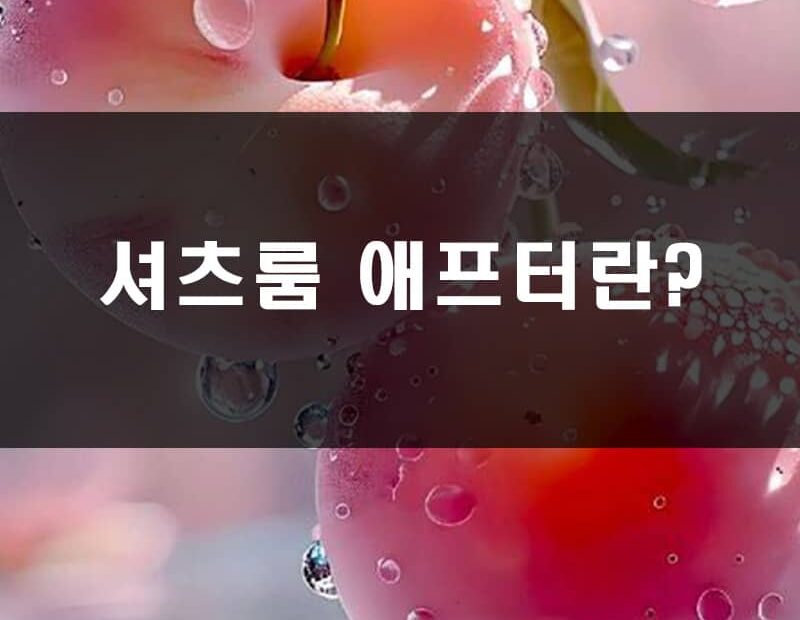 셔츠룸 2차 비용 있나요?