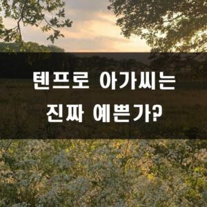 텐프로 출신 연예인 이란?