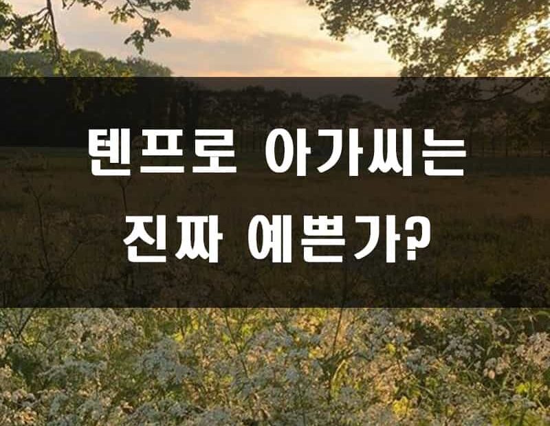 텐프로 출신 연예인 이란?