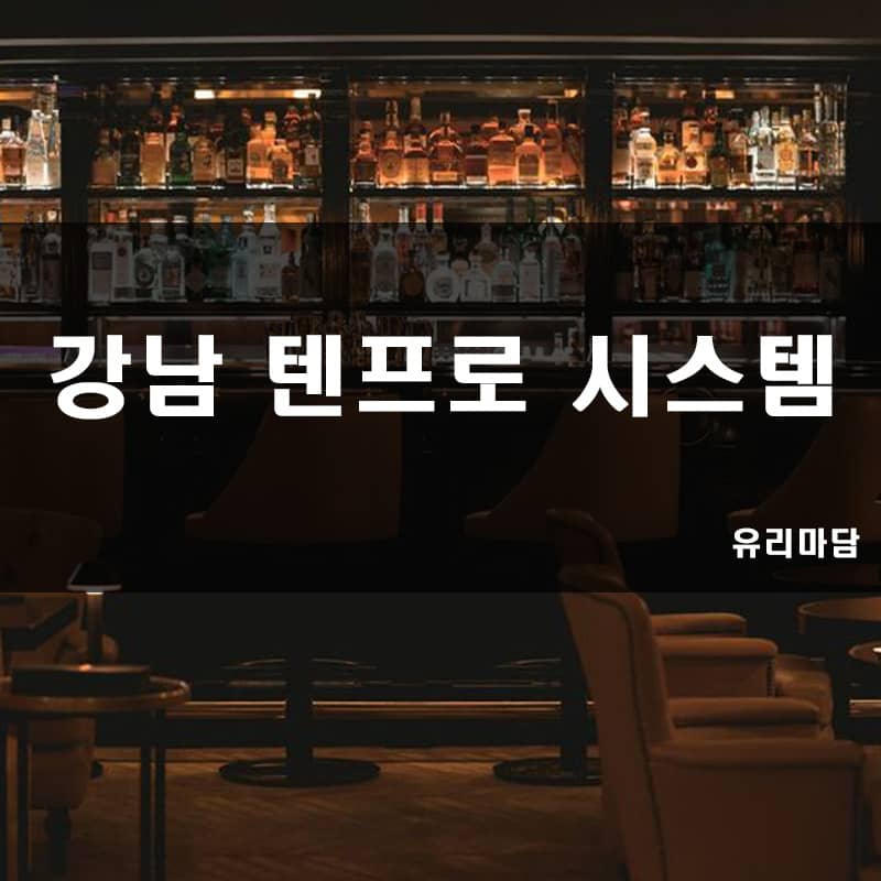 텐프로 강남텐프로 일프로 쩜오 하이쩜오 텐카페